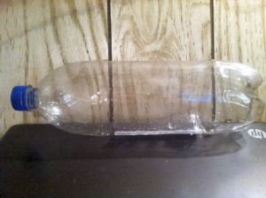 DIY Plastic Bottle into Live Bait Trap
